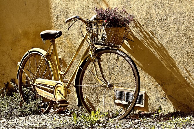 Harald Nyborg har alt til transport – cykelholdere, flyttekasser med mere