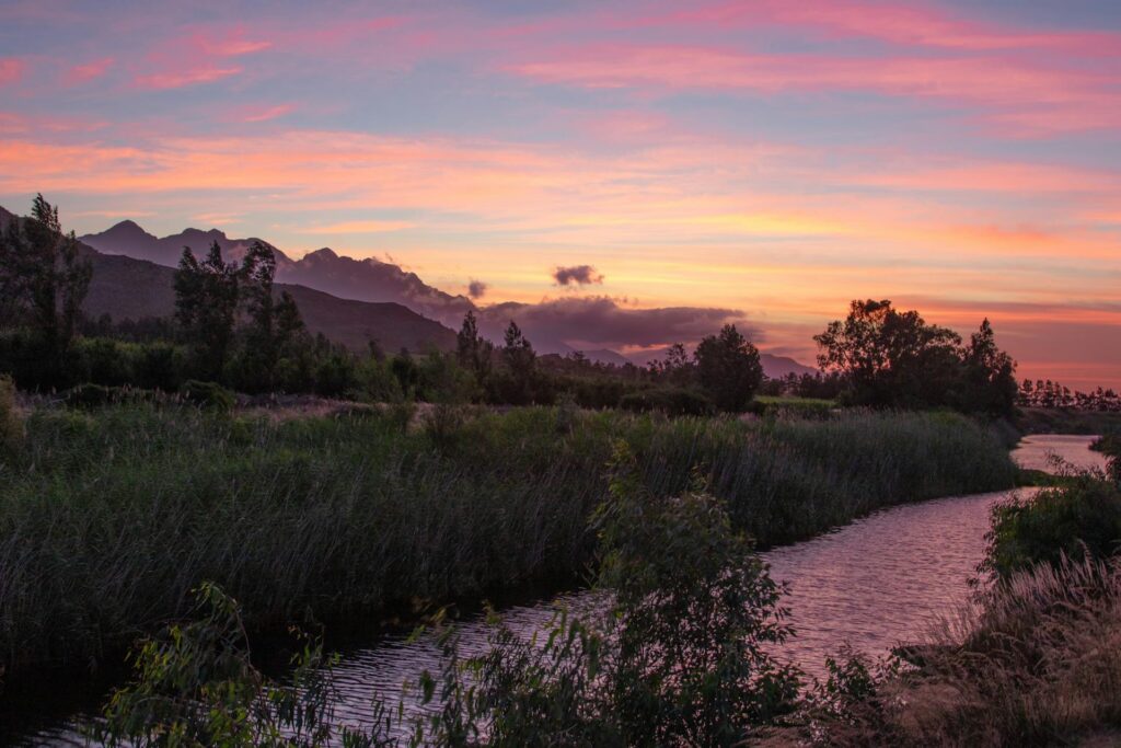 Mærk livet: Tag på safari i Afrika